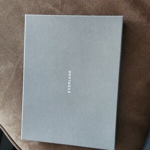 Everlane clutch NWT